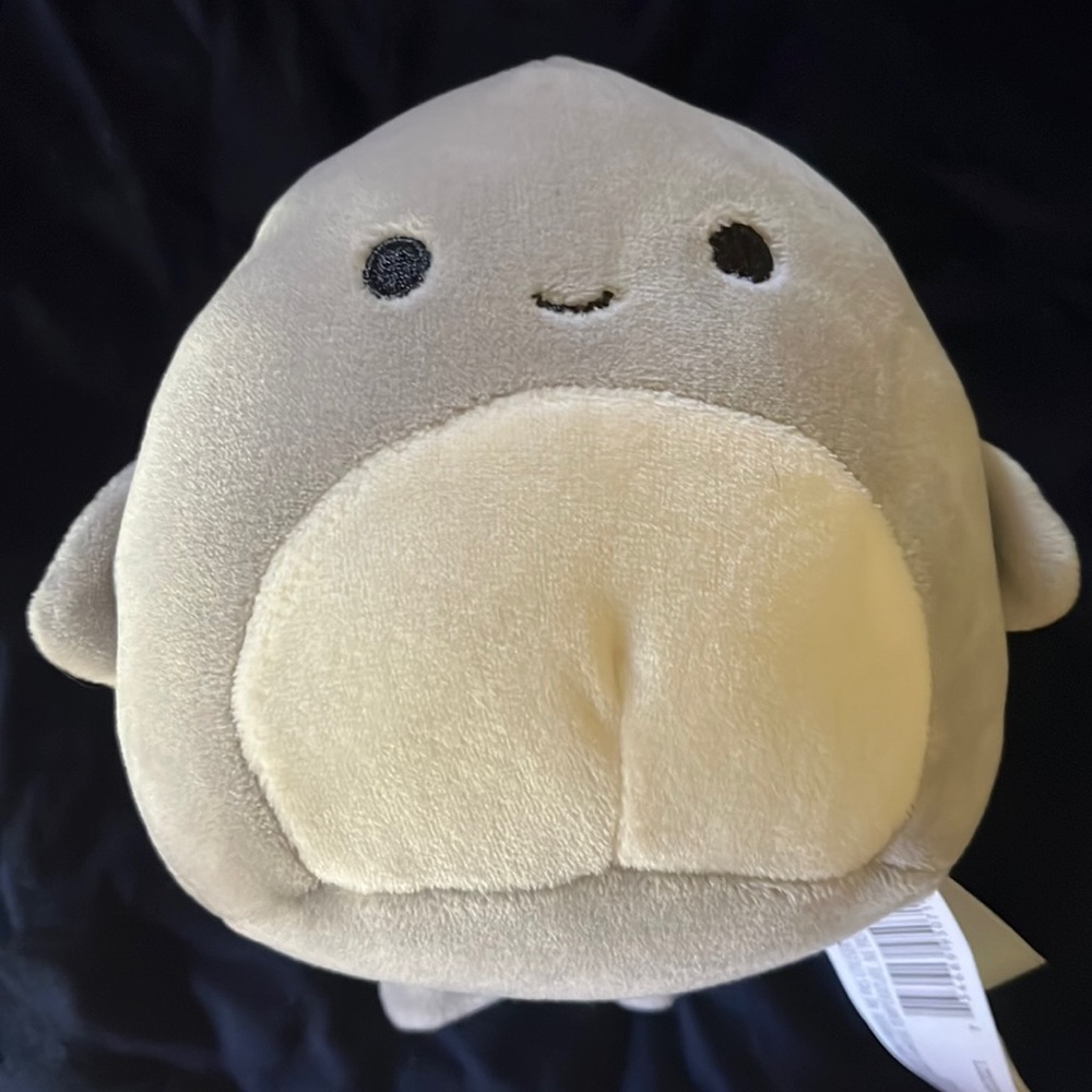 NWT Shark Gordon squishmallow